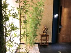 -新紫霞养生·影院足道·SPA(金山区店)