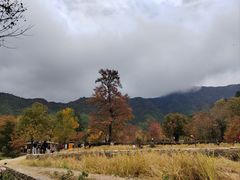 -塔川景区