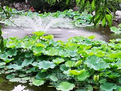 -郑和公园