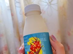 有机沙棘风味酸奶-盒马鲜生(金桥国际广场店)