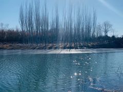 -大兴滨河森林公园