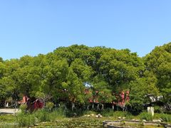 -丝绸小镇荻港古村