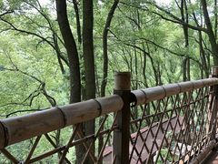 -巴倒烫陆派火锅山庄(南山总店)