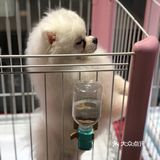 小小香宠 宠爱我们每个宝宝