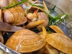 一桶黄蚬-渔娘渔家丹东海鲜(东直门店)