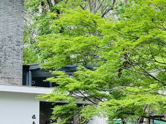 -西湖天地
