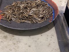 -破瓦寒窑·地摊烤羊排