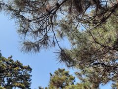 -沈阳辉山风景区