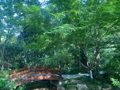 -中国茶叶博物馆(双峰馆区)