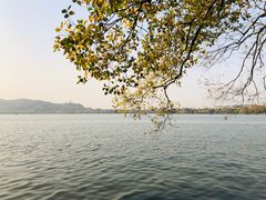 -西湖天地