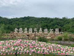 -金龙寺国家森林公园