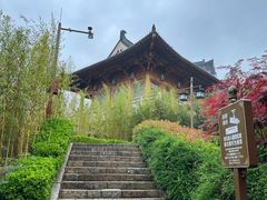 -秦岭风景区