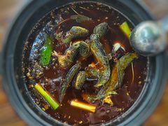 -金海椒罐罐鲢鱼(东方桂苑店)