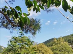-崂山九水游览区
