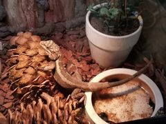 -Rabbit Cafe私房西餐甜点咖啡(栖霞路店)