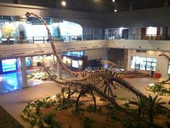 -自贡恐龙博物馆