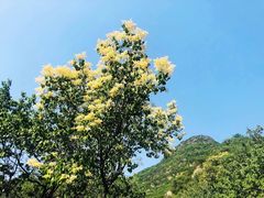 -阳台山自然风景区