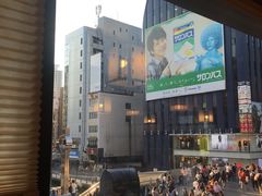 -蟹道乐(道顿堀本店)