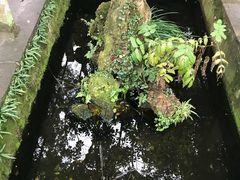 -绮园景区