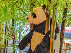 -吴铭怀旧火锅(坦洲一店)