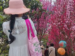 -桃源山庄·水蜜桃采摘·柴火鸡·烧烤团建(龙泉山店)