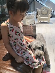 -INKIDS潮童社儿童摄影(朝阳大悦城店)