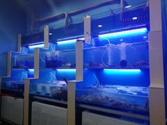 水产区-老虎滩大连海鲜烧烤(建邺云锦路总店)