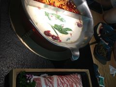 -湊湊火锅·茶憩(上海合生汇店)