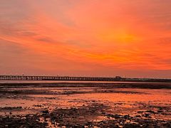 -宝安西湾红树林湿地公园