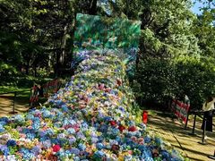 -上海共青森林公园