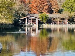 -上海共青森林公园