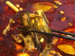 -王婆乔鲜鱼自助火锅(蜀汉路店)