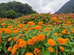 -广州市石门国家森林公园