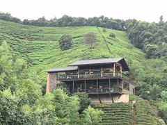 -莫干山郡安里度假酒店-桃尖中餐厅