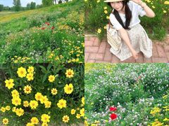-洨河生态公园