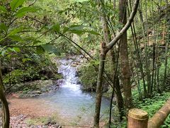 -江西阳明山国家森林公园