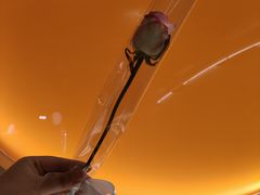 -ROIIN用心(武汉首店)