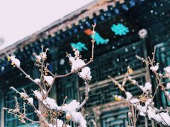 -颐和园