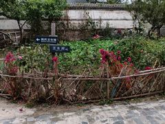 -王家大院
