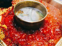-蜀九香火锅(玉林店)