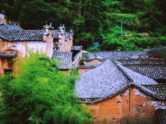 -杨家堂村