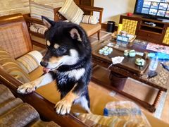 -候鸟水榕庄度假酒店