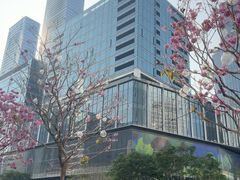 -深圳湾万象城(南山店)