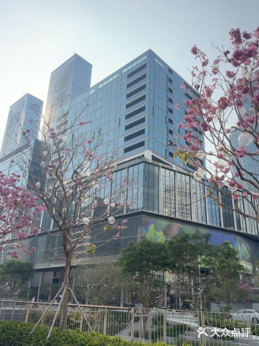 深圳湾万象城图片