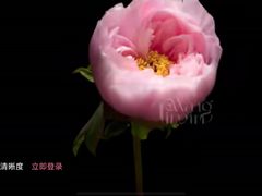 -回龙观体育文化公园