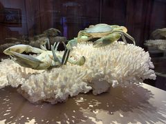 -福建省非物质文化遗产博览苑