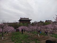 -大槐树寻根祭祖园