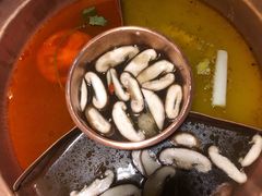菌王奇香锅-滇釜火锅·能喝汤的火锅(车公庄店)