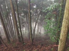 -井冈山风景名胜区-黄洋界
