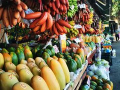 -南沙十九涌渔人码头-南门